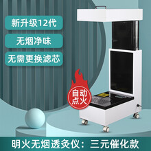 海岳智能扶阳透灸仪器明火无烟艾灸家用熏蒸仪美容院专用一体机 【自动点火三元催化款】明火无烟 分类