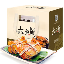 【活蟹】金碧波 六月黄鲜活大闸蟹 12只装 1.5-1.8两/只 现货实物 螃蟹礼盒 海鲜水产