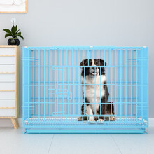 迪熊先生 狗笼 狗笼子小型犬幼犬泰迪比熊兔子笼家禽鸡笼鸭笼笼宠物用品买一带四 蓝色加粗狗丝 外贸出口款 900