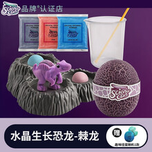 科学罐头儿童小学生幼儿园恐龙stem化学水晶生长趣味实验益智玩具 男孩女孩孵化养成类宠物生日礼物套装 120482棘龙