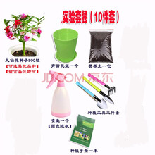 纳格兰 阳台花子种子春季   重瓣凤仙花种子实验室内阳台盆栽凤仙花种籽子春季 凤仙花豪华套餐 (可选其他品种)