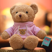 泰迪熊抱抱熊毛绒玩具小熊公仔大号熊猫抱枕可爱布娃娃女生睡觉抱床上陪睡玩偶女孩生日礼物情人节六一儿童节 粉色 50厘米【30cm1个】