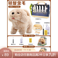 电动毛绒玩具狗狗会唱歌会叫动物有声会动仿真走路小狗婴儿男女孩 金毛(友善黏人) 标配版【2个5号电池+螺丝刀】