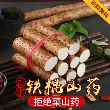 铁棍山药正宗怀山小白嘴铁棍山药新鲜山药批发新鲜蔬菜 5斤65-80厘米铁棍山药