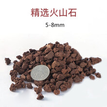 鹿骆宠具火山岩火山石鱼缸水族滤材高效培鹦鹉罗汉起头发财鱼增色珊瑚石 五斤红色火山石【5-8mm毫米】