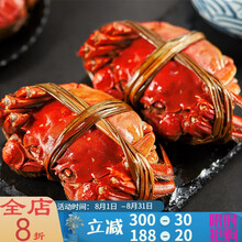 【活鲜】大闸蟹鲜活特大全公母蟹螃蟹六月黄现货礼盒装海鲜水产0.8-3.5两 塔布莫特 【大蟹10只装】3.0-3.5两