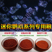 鱼饲料迷你鹦鹉鱼粮增色饲料鱼苗开口粮观赏鱼小颗粒小型鱼热带鱼幼鱼食 鱼苗粮50g+幼鱼粮50g+成鱼粮50g