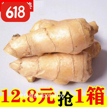 山东生姜老姜母5斤新鲜黄姜干姜块月子姜现挖现发带泥老姜 带箱3斤
