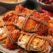 盐城醉蟹 【全母大蟹】花雕熟醉蟹即食 多规格 蟹全母醉蟹大闸蟹香辣蟹熟食螃蟹 1香辣大闸蟹6只(2.6-3.0两)
