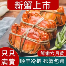 【活蟹】猫扑鱼 微山湖六月黄螃蟹 只只满黄 大一元蟹 螃蟹鲜活 二元蟹现货大闸蟹 六月黄（1.2-1.6两）8只