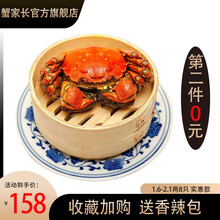 【活蟹】蟹家长大闸蟹 六月黄大闸蟹鲜活 全公母螃蟹 大闸蟹鲜活 现货河蟹活物 1.6-2.1两8只 实惠款