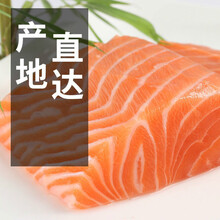 【精品冷运】冰鲜三文鱼500g(盒装刺身海鲜) 鲜露哒 带皮整块500克