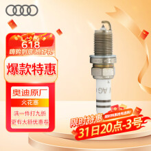 奥迪（AUDI）原厂火花塞 德国进口1支装 A7/ 第1/2代EA888发动机（咨询客服）