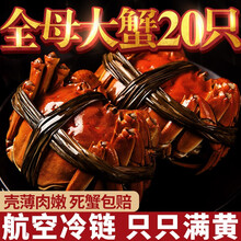 【活蟹】臻佳肴大闸蟹礼盒装 现货全母鲜活螃蟹 苏州六月黄大闸蟹超大活体生鲜 全母蟹1.8-2.2两 8只装