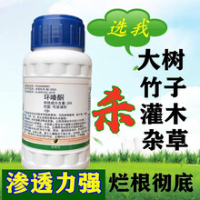 农药杀树王杀竹子除树剂杀大树烂根剂渗透速效死树剂杀死树的药环嗪酮 250ml瓶装水剂