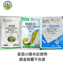 生姜大姜田苗后专用除草剂姜草锄霸禾阔莎通杀安全不伤苗姜草净 55ml