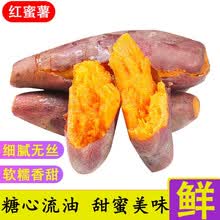 红薯新鲜糖心西瓜红蜜薯沙地农家自种烤番薯 10斤 中果