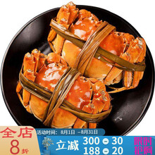 【活鲜】大闸蟹鲜活现货活体螃蟹六月黄海鲜水产全公母3两清水蟹河蟹毛蟹 塔布莫特 【2.0-1.5两 20只】只只有黄
