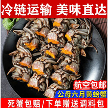 大闸蟹鲜活小螃蟹一元蟹江苏湖蟹小闸蟹生鲜食材  罗菲迪新 4-6钱-20只+加10只(六月黄)