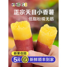 正宗天目山小香薯手指薯5斤新鲜临安板栗红薯10富硒地瓜山芋番薯 3斤 大果