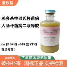 石佳（shijia)华宏 禽霍乱+大肠杆菌二联灭活疫苗 多杀性巴氏杆菌 鸭鹅禽霍乱疫苗250ml/瓶 一瓶