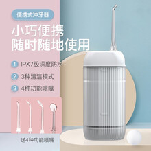 懒贝贝电动冲牙器家用便携式 清洁口腔洗牙器水牙线冲洗器洁牙器 水牙线 洗牙器 洁牙机 粉色【送漱口水10ml*20+收纳袋】