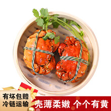 【活蟹】大闸蟹鲜活螃蟹活体特大现货礼盒海鲜水产蟹类 惟纳德 (公母3.0-2.5两)10只