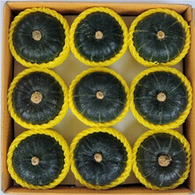 大地果缘 日本贝贝南瓜板栗味正宗贝贝小南瓜5斤宝宝辅食粉糯新鲜整箱 5斤