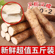 正宗铁杆山药淮山药铁桂怀山药铁棍山药新鲜垆土铁杆5斤特产批发 2500g