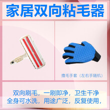 粘毛家用双向除尘滚刷吸刷毛器去除毛器衣物沙发垫子黏沾毛刷滚筒欧缔兰 双向粘毛1个+撸毛手套