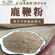 吉林鹿鞭粉整支磨粉鹿茸山参粉无原料出自自家鹿场 官方品质鹿鞭粉【50克】