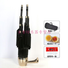 笙初学者精品紫竹方笙14簧17簧21圆笙专业演奏加键扩音笙 17簧专业全黑镶箍活斗笙