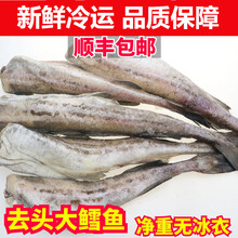 顺丰速运 鳕鱼新鲜海鲜水产鲜活冷冻无头鱼银狭鳕鱼明太鱼新鲜 锦蜜姬 【一斤】尝鲜装