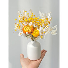 干花花束满天星真花风网红芦苇干鲜花轻奢永生装饰花家居摆件 A1069(含瓶) 干花包