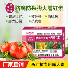 番茄圣女果脐腐防裂膨大增红素叶面肥西红柿专用膨大肥料北美农大 3盒【+1袋叶面肥】