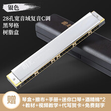 国光口风琴24孔复音 重音C调初学者中老年人成人儿童学生专业演奏级入门口风琴乐器 星空银|宽音域-复音28孔+自学礼包+视频教程