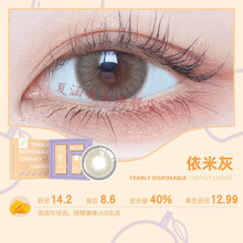 可啦啦美瞳韩版年抛隐形大小直径自然混血网红同款男女 14.2(2片装)依米灰 100