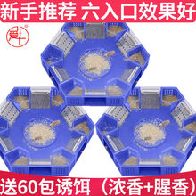 蟑螂小黑盒蟑螂捕捉器蟑螂屋药全窝端抓蟑螂盒强力灭杀蟑螂贴诱捕神器 3个六门捕捉器(送60包诱饵) 新升级带引诱气孔(多买多送)