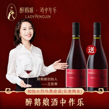 国际	醉鹅娘 如饴火烈鸟酒红鸟珍藏黑皮诺干红葡萄酒 智利酒庄直供进口葡萄红酒 750ml 单支【实发两支】
