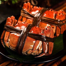 【活蟹】大闸蟹特大鲜活淡水公母蟹六月黄大螃蟹海鲜水产蟹类 普米加罗 六月黄(1.8-2.2两)8只