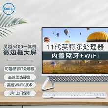戴尔/DELL灵越5400家用办公23.8英寸一体机台式电脑整机 十一代英特尔 Win10 三年上门 【银色】11代奔腾G7505丨集显 16G/1T+256G/定制