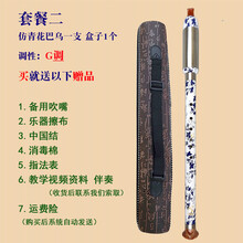 杉贝 SHANBEI 巴乌胶木竖吹仿红木巴乌调降调调调小学生初学入门乐器抖音同款 套餐二:竖吹仿青花G调巴乌+皮盒