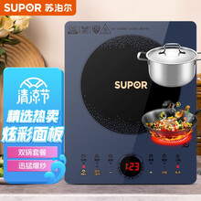 苏泊尔（SUPOR）电磁炉套装 2200W大功率  智能触控 微晶面板 电磁炉 C22-IH79E 电池炉（欧式汤锅+炒锅）