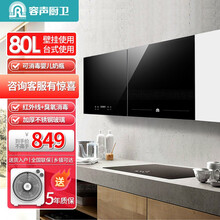 容声消毒柜 壁挂式家用消毒柜台式卧式小型高温碗筷宝宝奶瓶幼儿园消毒柜 壁挂台式两用 ZGP108-A2台式壁挂两用80L