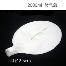 简易呼吸器配件复苏器储气储氧袋进气阀出气阀麻醉面罩挂钩开口器 2000ml 储气袋