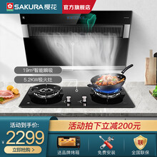 樱花（SAKURA）Z304+BBG02 抽油烟机灶具套装侧吸式燃气灶套装吸油烟机烟灶套装自动清洗 Z304+BBG02（烟灶套装） 天然气13L