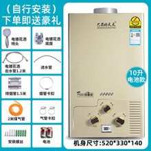好太太天然气热水器燃气强排热水器电池款家用恒温洗澡 10升金色+纯铜水箱+数码显示+电 池款+低压启动 液化石油气