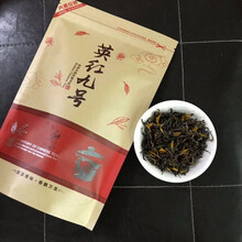 广东特产红茶英德红茶英红九号红茶浓香型英九红茶袋装英红新茶叶 250g