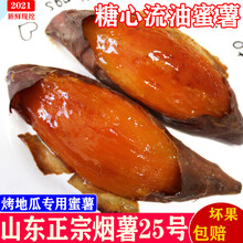 山东蜜薯烟薯25号糖心红薯现货新鲜红心沙地番薯烤地瓜超甜香山芋 9斤 中果