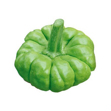 云南特色姜柄瓜新鲜小南瓜农家自种时令蔬菜面瓜嫩瓜小麦瓜 优选2斤